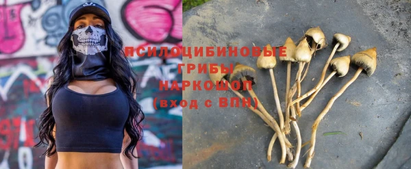 Альфа ПВП Верхний Тагил