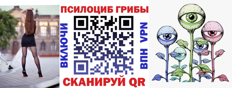 где можно купить наркотик  Лиски  ОМГ ОМГ ТОР  Псилоцибиновые грибы Psilocybine cubensis 